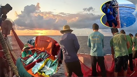 Trúng mánh bầy cá nhồng, kéo câu đã tay luôn | Đánh lưới 2024 - Tập 32 | Sóng biển Hứa Đông