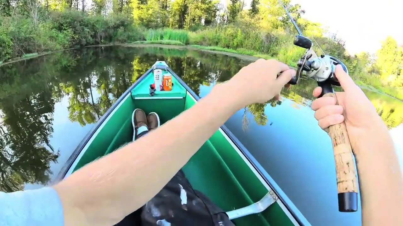 Fishing for GIANT LARGEMOUTH in suburban pond?!?!?