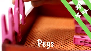 Montessori Presentation : Pegs