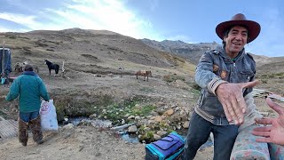 Como es una Bajada de Ganado de lo alto de la cordillera de los Andes Laguna del Maule Arrieros