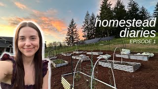 Setting up our summer garden (and fixing old mistakes) | homestead diaries ep 1