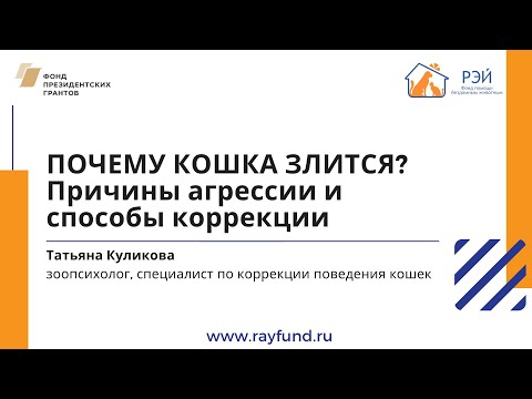 Почему кошка злится? Причины агрессии и способы коррекции