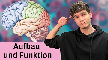 Wie funktioniert das Gehirn einfach erklärt?