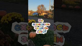 Осінь в Карпатах | Що сховалось за синім авто❓️🔴 #закарпаття #карпати #гори #mountains #travel #usa