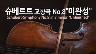 슈베르트 교향곡 No.8 B단조 "미완성" | Schubert-Symphony No.8 in B minor "Unfinished" | 빈 필하모닉