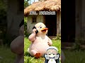 Kucing oranye montok itu mencukur bulu anak bebek #animasianak #animasiedukasi #lucunya #kucinglucu