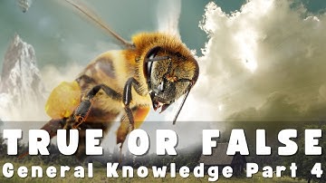 True or false | General Knowledge Trivia Quiz Part 4 |  | 5 Minute Quiz | Rapid Fire Questions