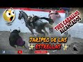 Gran Jaripeo De Las Estrellas En La Monumental Plaza La Luz Texas