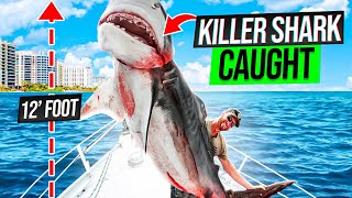 Catching and EATING A Giant Killer Tiger Shark! {Catch Clean Cook}