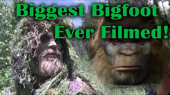 Biggest Bigfoot Ever Filmed.  Gigantic Sasquatch - DayDayNews