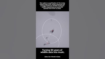 Turning 50 years of wildlife data into music: Touchdesigner + Data Sonification