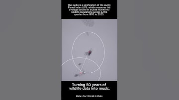 Turning 50 years of wildlife data into music: Touchdesigner + Data Sonification