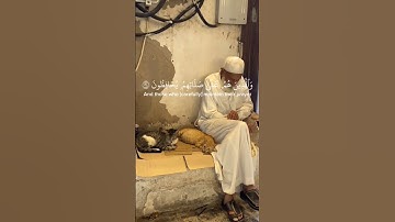 #تلاوة_خاشعة #اكسبلور #المصحف #قرآن #تلاوات