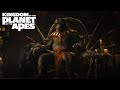 Kingdom of the Planet of the Apes | King image