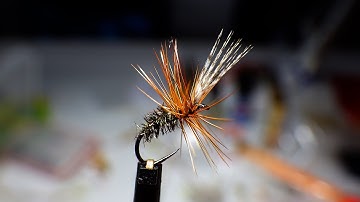 Tying the John Storey Dry Fly with Davie McPhail