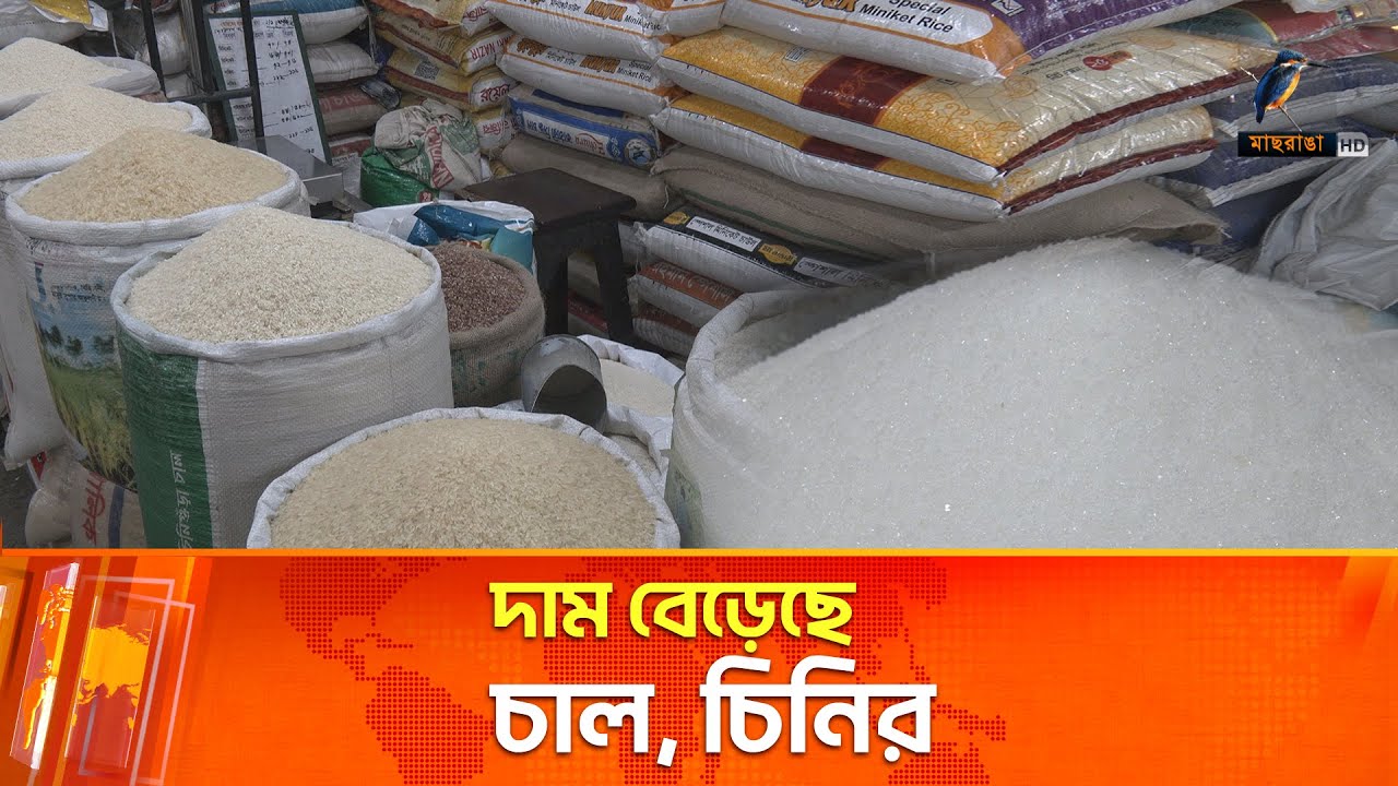 অপরিবর্তীত মুরগির বাজার | Market | Chicken | Maasranga News