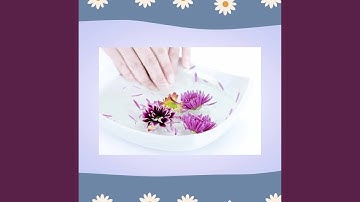 Sparkling Backdrops for Comforting Breathing