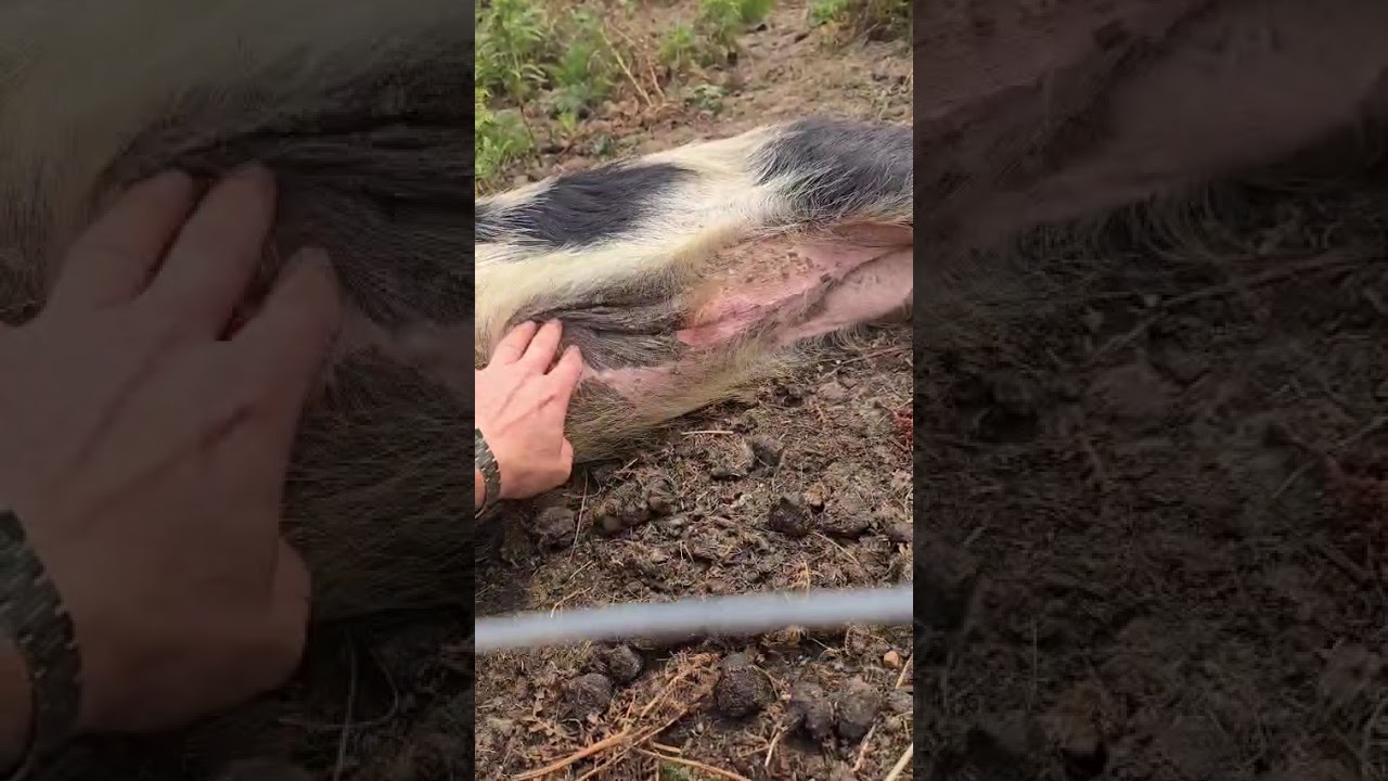 Arek, zdobywca szparek!!!