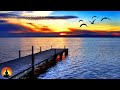 🔴 Relaxing Music 24/7, Sleeping Music, Meditation Music, Zen, Calming Music, Study Music, Insomnia