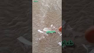 تحدي انكتوبر اليوم الواحد والعشرون ✨✨