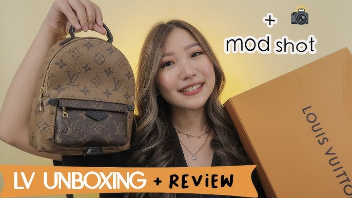 LOUIS VUITTON PALM SPRINGS MINI BACKPACK DUPE!, @MEEKFRO