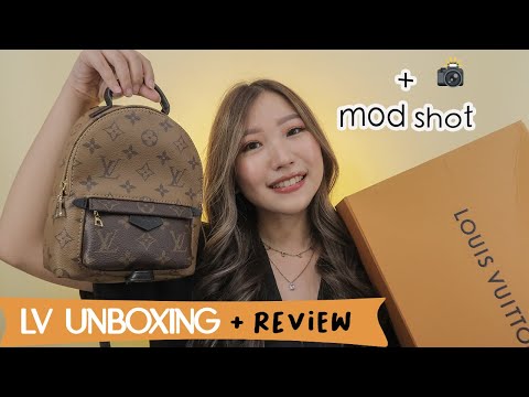 LOUIS VUITTON LOOP BAG REVIEW + MOD SHOTS