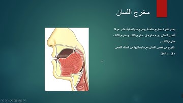 (11) كورس تعليم التجويد للمبتدئين (مخرج اللسان وحروفه)