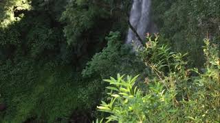🤩🤩😱 CASCADAS Y SALTOS DE MISIONES ... IMPERDIBLES!!!