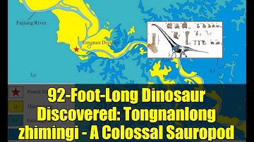 92-Foot-Long Dinosaur Discovered: Tongnanlong zhimingi - A Colossal Sauropod
