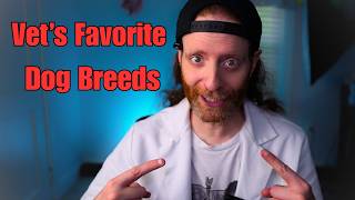 Top 5 Dog Breeds Ranked by a Veterinarian | You'll be Surprised