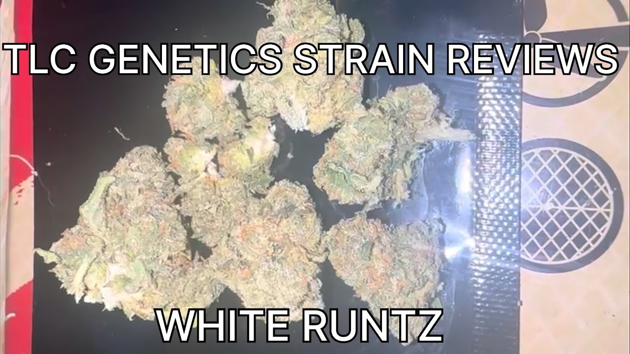 White Runtz Cannabis Flower(Strain Review):The TLC Genetic Show 