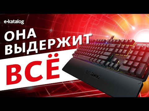 Обзор мощной механики: Asus TUF Gaming K3