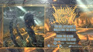 Molested Divinity - Unearthing the Void (FULL ALBUM STREAM)