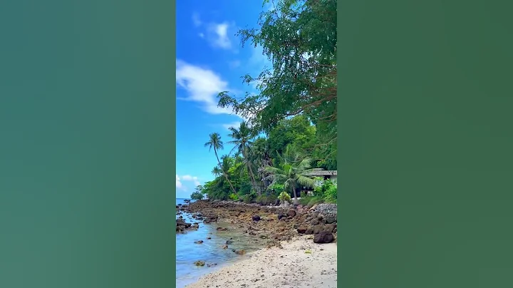 Coconut Trees On Rocky Beach - DayDayNews