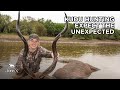 Kudu Hunting - Expect the Unexpected in Africa | John X Safaris