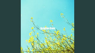 Tranquil Ambiance for Slow Paces