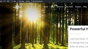 Transparent Header Elementor - #16