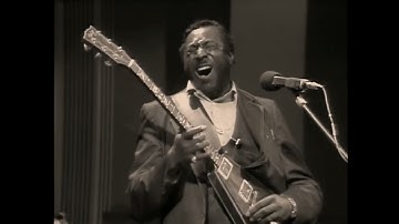 Albert King & Stevie Ray Vaughan    Pride And Joy , 1983 HD
