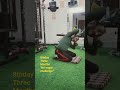 #8thday #health #motivation #sports #fitness #trending #youtubeshorts