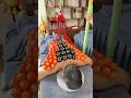 My pulley system failed against 100 cupping cups #asmr #massage #cuppingtherapy #cupping