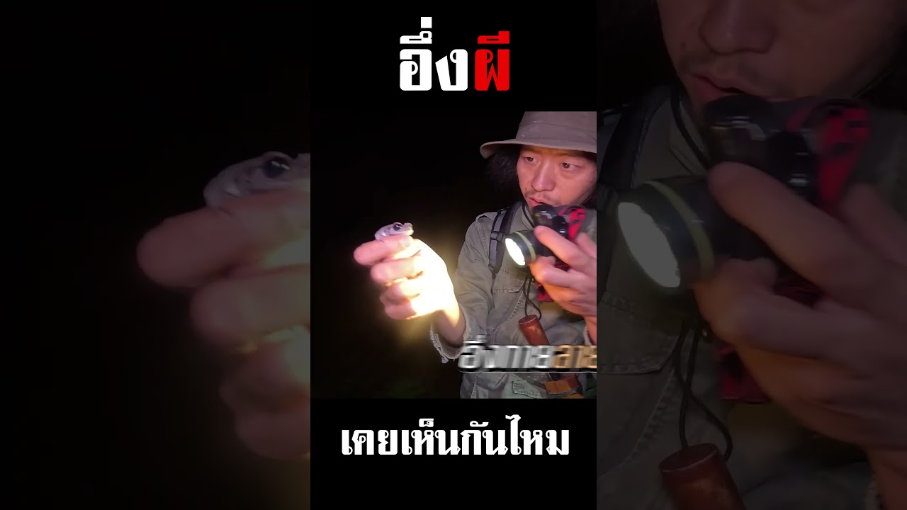 อึ่งผี!! เคยเห็นกันไหมครับ??  #djpoom #ดีเจภูมิ #คนหัวครัว