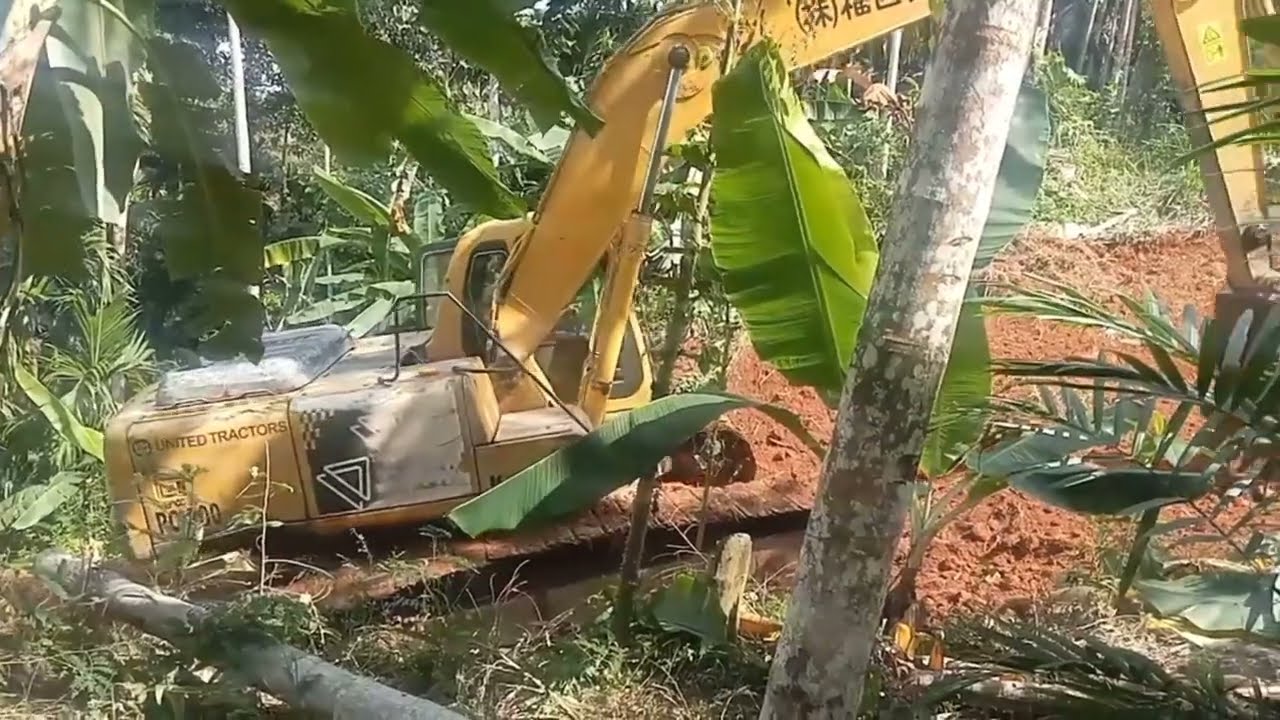 daily activity of komatsu excavator in the forest