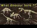 Dinosaur bone puzzle game | Find the dinosaur bones | What did the dinosaurs eat?
 |공룡의 뼈를 찾아라 |딩동TV