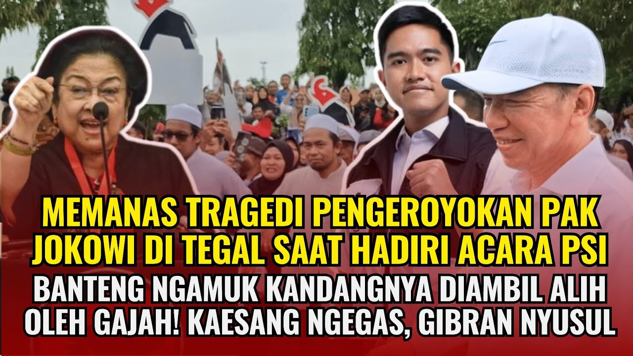 Viral Tragedi Pak Jokowi Dikeroyok massa di Tegal, Banteng Ngamuk kandangnya diambil Gajah!