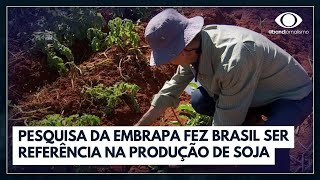 Ciência e inovação no alimento do brasileiro é marca da Embrapa | Jornal da Band