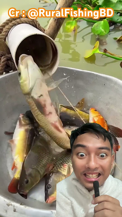 mancing ikan dapat banyak #fish #fishing #ikan #memancing