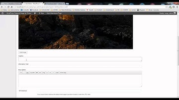 WordPress Featured Image for Thesis 2 plugin features