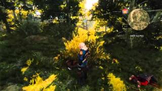 The Witcher 3: Double Kill