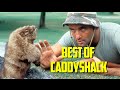 Thumb of Caddyshack video