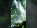 Water Fall Sounds for Relaxation, Sleep, Meditation